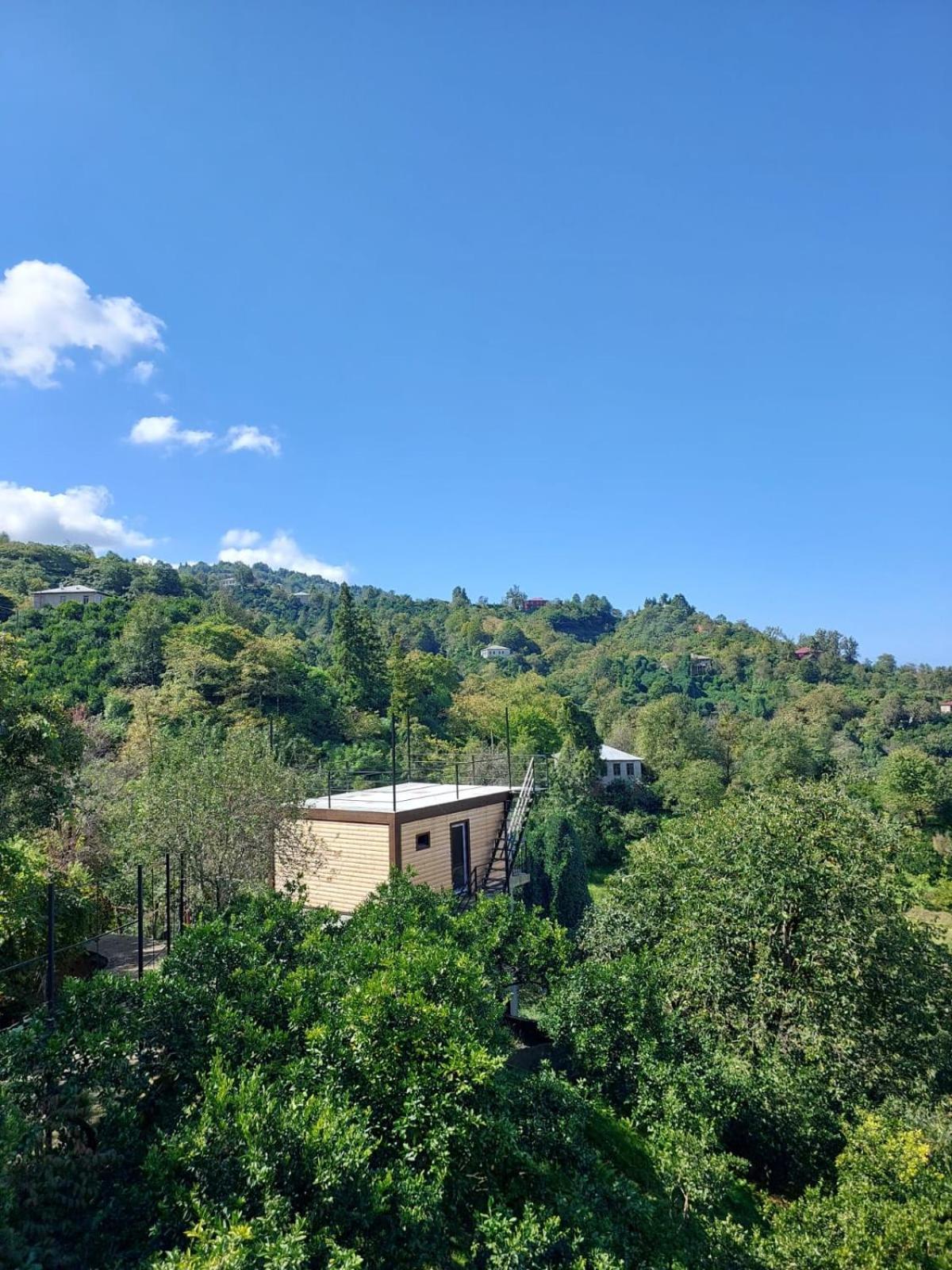 Mtirala House Hotel Khala Стая снимка
